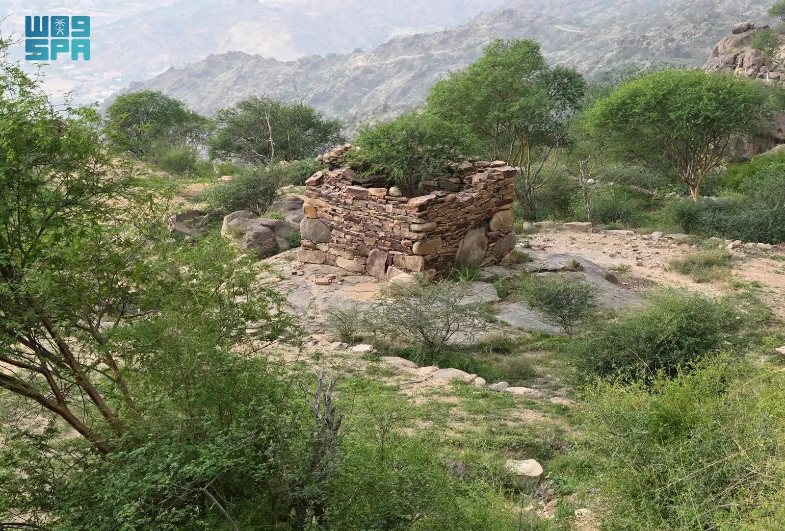 urdu