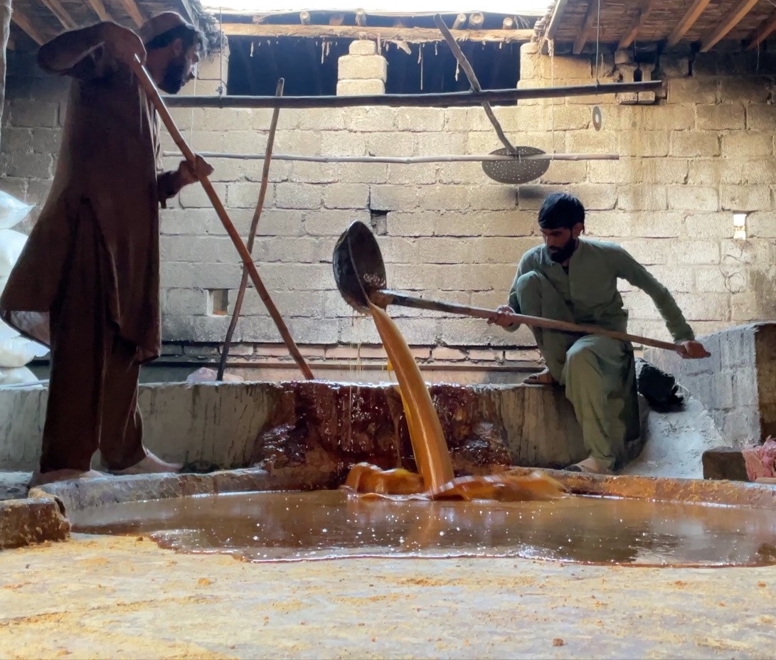 پشاور کے مضافات میں روایتی طریقے سے گُڑ بنانے والی ’گھانیاں‘ | Urdu ...