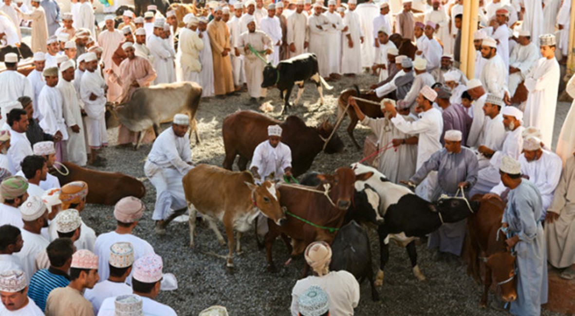 نزوی مویشی منڈی میں جانوروں کی خرید و فروخت