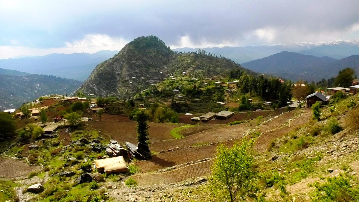 فلک بوس پہاڑوں پر درخت سرمستی کے عالم میں جھوم رہے ہیں